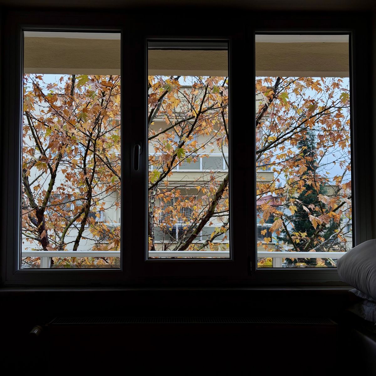 Fenêtre blanche vue de l'intérieur d'un logement ouvrant sur un paysage d'automne