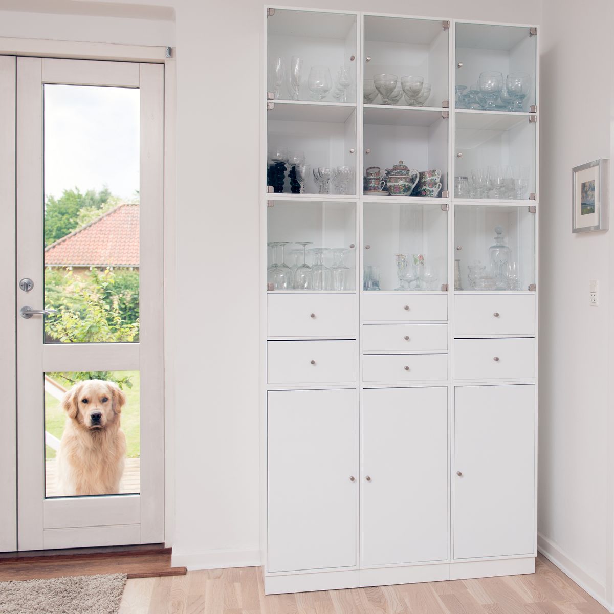 Chien observant à travers une grande porte vitrée dans une maison moderne